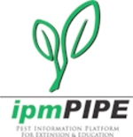IPM PIPE logo