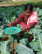 IPM Innovation Lab photo