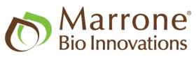 Marrone logo